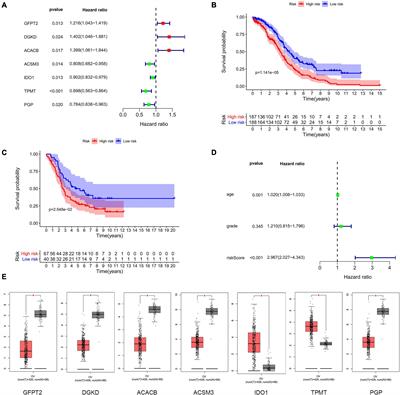 Predicting Panel of Metabolism and Immune-Related Genes for the Prognosis of Human Ovarian Cancer